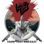 Review: The Lucid Furs - Damn! That Was Easy